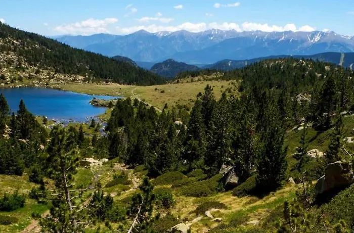 Vauban Palm Apartament *